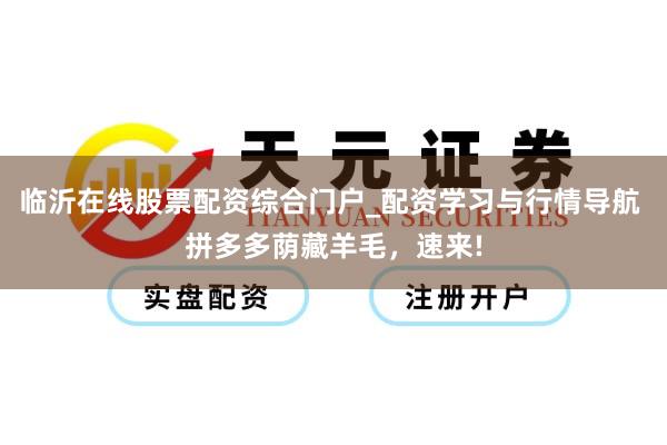 临沂在线股票配资综合门户_配资学习与行情导航 拼多多荫藏羊毛，速来!