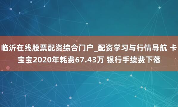 临沂在线股票配资综合门户_配资学习与行情导航 卡宝宝2020年耗费67.43万 银行手续费下落