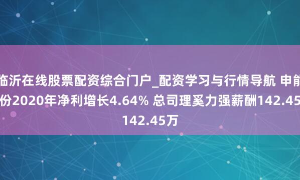 临沂在线股票配资综合门户_配资学习与行情导航 申能股份2020年净利增长4.64% 总司理奚力强薪酬142.45万