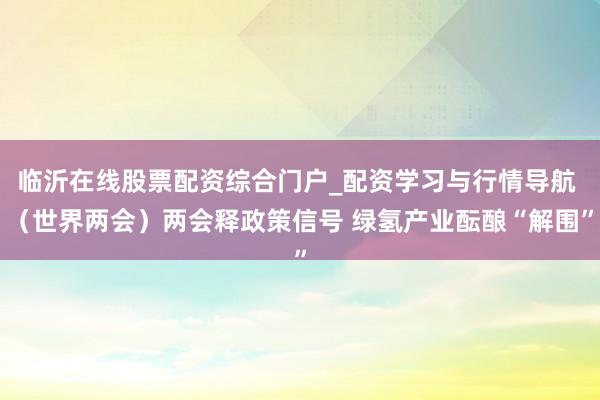 临沂在线股票配资综合门户_配资学习与行情导航 (世界两会)两会释政策信号 绿氢产业酝酿“解围”