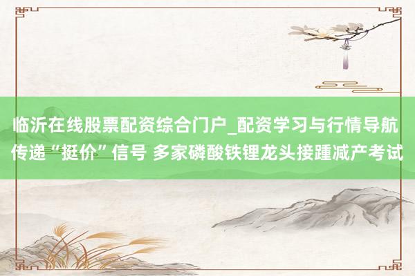 临沂在线股票配资综合门户_配资学习与行情导航 传递“挺价”信号 多家磷酸铁锂龙头接踵减产考试