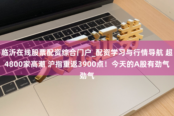 临沂在线股票配资综合门户_配资学习与行情导航 超4800家高潮 沪指重返3900点!今天的A股有劲气
